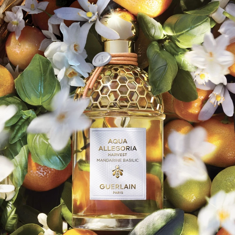 嬌蘭花草水語馬佐拉柑橘與羅勒淡香水盛採限定版125ml,NT6,370 嬌蘭花草水語馬佐拉柑橘與羅勒淡香水盛採限定版125ml,NT6,370