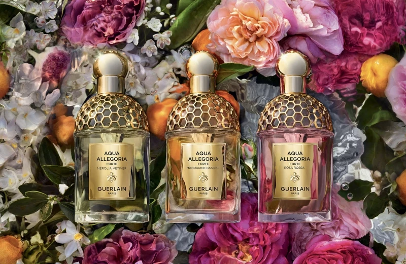 嬌蘭花草水語琢白岩蘭橙花、陽光甜橘與晨霧玫瑰淡香精主視覺。 嬌蘭花草水語琢白岩蘭橙花、陽光甜橘與晨霧玫瑰淡香精主視覺。