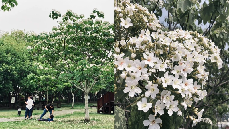 Photo/東勢客家文化園區 FB Photo/東勢客家文化園區 FB