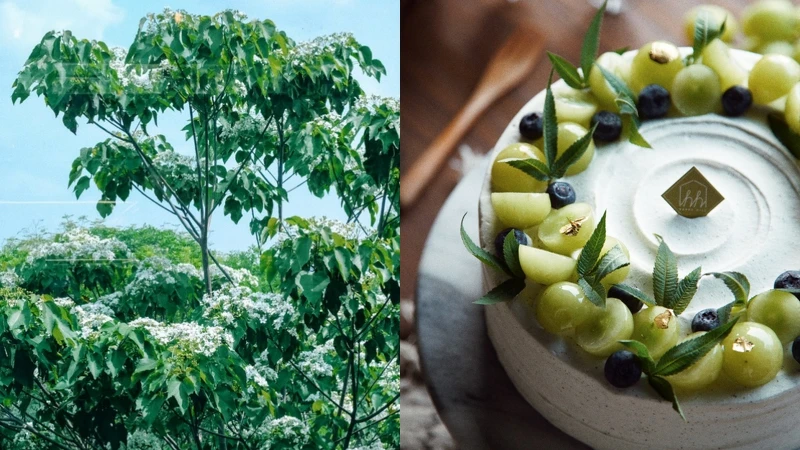 Photo/幸福山丘 FB Photo/幸福山丘 FB