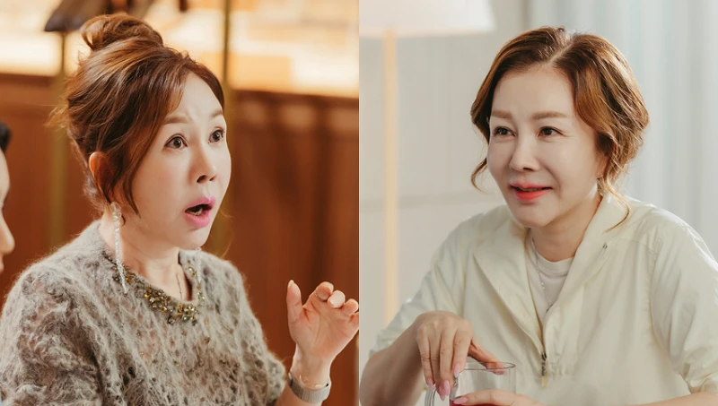 《車貞淑醫生》婆婆 朴俊錦 《車貞淑醫生》婆婆 朴俊錦