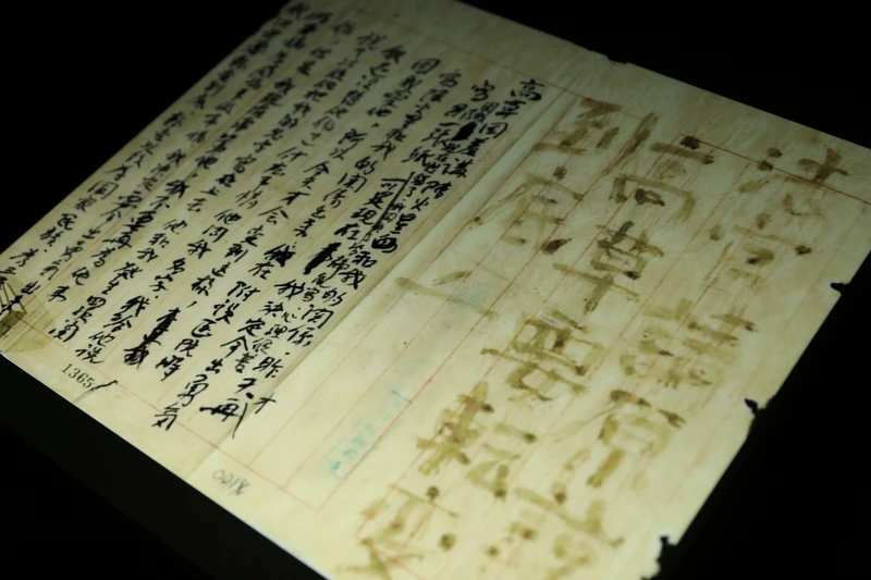 吳瑪悧＿〈我是高草〉