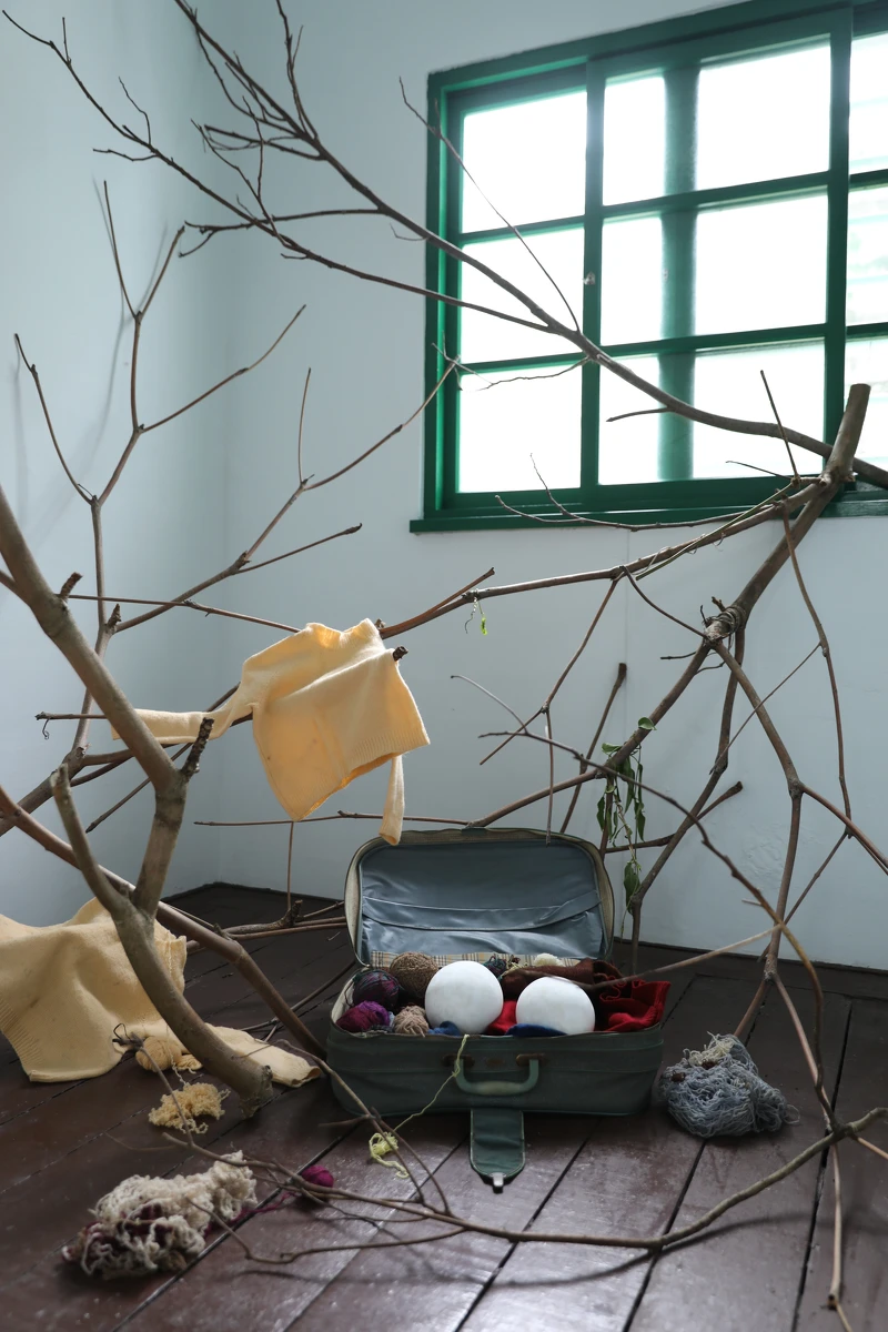 郭俞平＿〈烏鴉的爪輕拍後離去〉