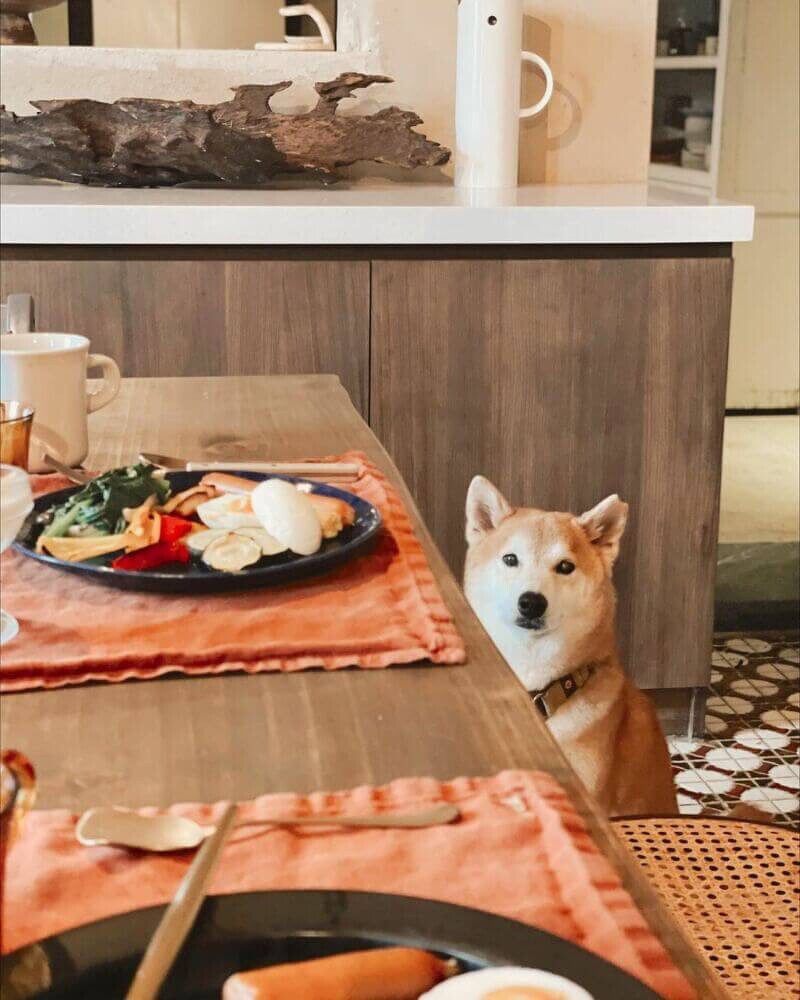 圖/@yozz_l 圖/@yozz_l