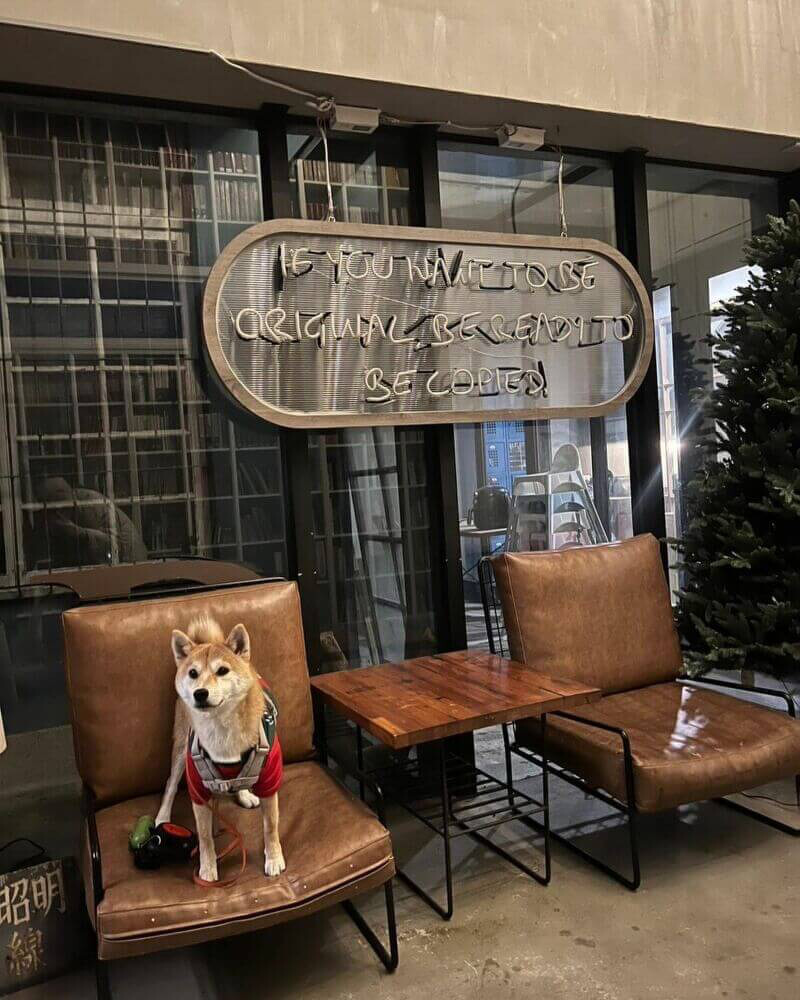 圖/@shiba.kuma_ 圖/@shiba.kuma_