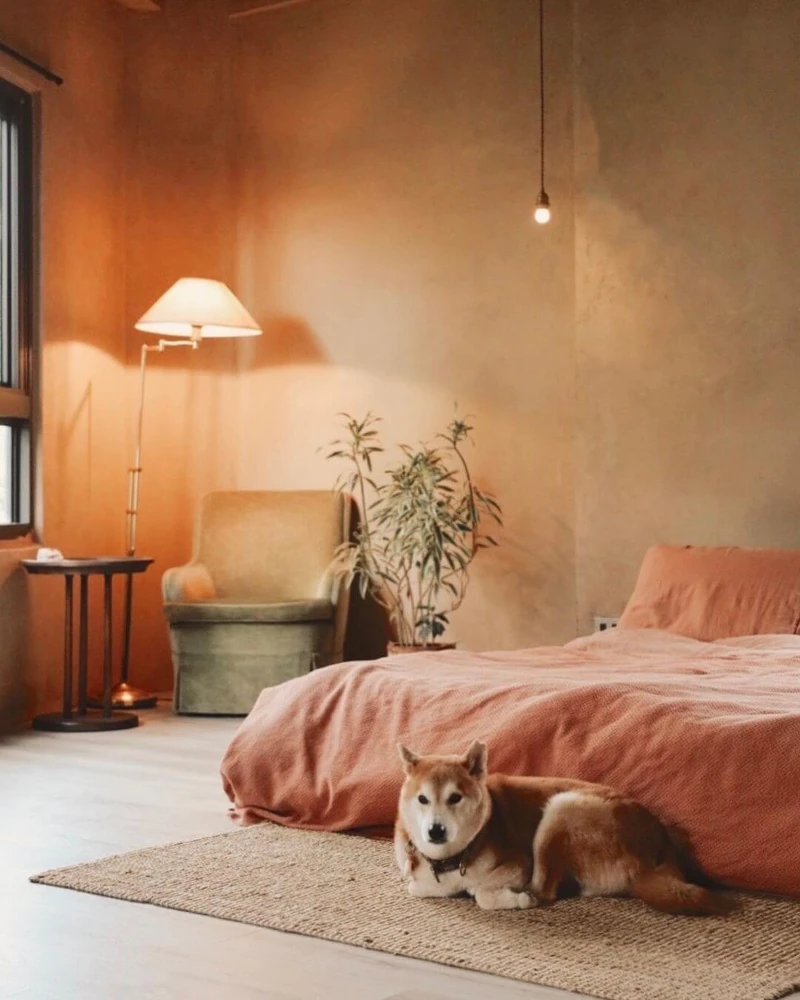 圖/@yozz_l 圖/@yozz_l