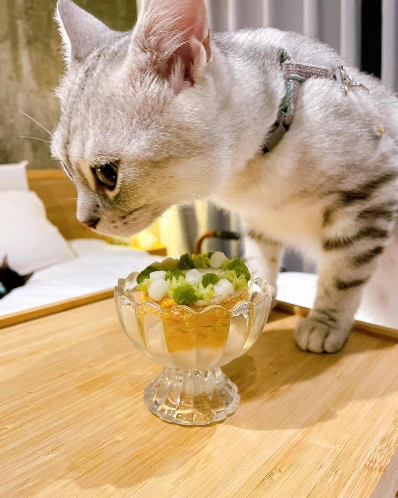 圖/@wifi_roll 圖/@wifi_roll