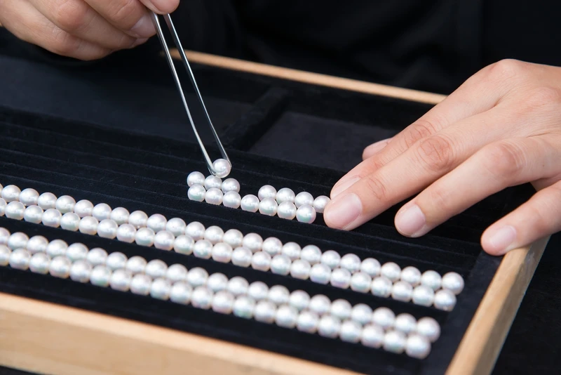 珍珠的連相作業