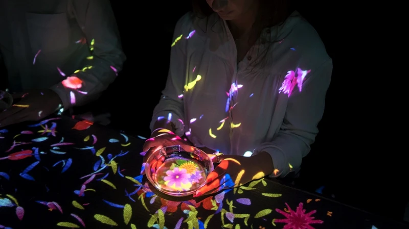 《綻放在茶碗裏那無限宇宙中的花朵》 《綻放在茶碗裏那無限宇宙中的花朵》