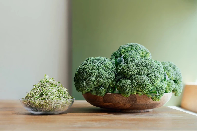 Photo/一寸鮮:發芽三天大的青花椰苗,是蘿蔔硫素最多最理想的蔬菜,含有長效抗氧化效果,提供保養肌膚最重要維生素 Photo/一寸鮮:發芽三天大的青花椰苗,是蘿蔔硫素最多最理想的蔬菜,含有長效抗氧化效果,提供保養肌膚最重要維生素
