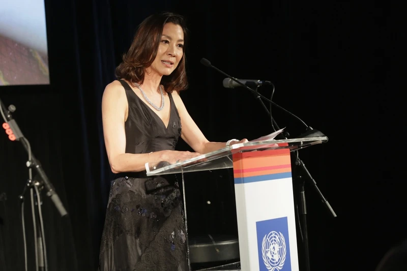 楊紫瓊擔任聯合國開發計畫署親善大使 楊紫瓊擔任聯合國開發計畫署親善大使