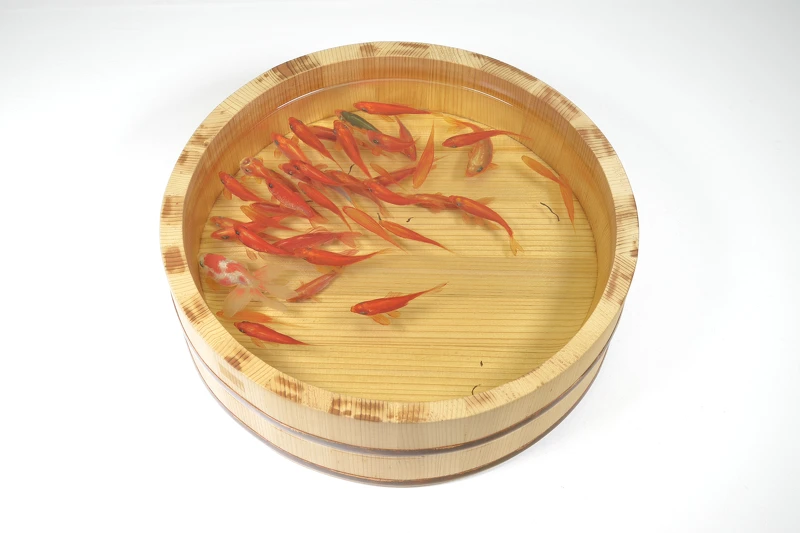 深堀隆介運用壓克力樹脂技術繪製出栩栩如生的金魚,2009年作品〈四個桶-和金〉。深堀隆介提供。 深堀隆介運用壓克力樹脂技術繪製出栩栩如生的金魚,2009年作品〈四個桶-和金〉。深堀隆介提供。