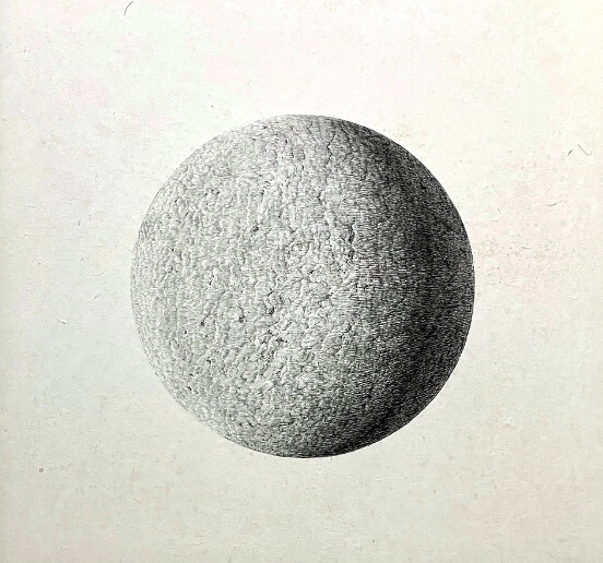 魏柏任|扁球體 Oblate Spheroid 2023 78×73 cm 楮染原紙、代針筆。 魏柏任|扁球體 Oblate Spheroid 2023 78×73 cm 楮染原紙、代針筆。