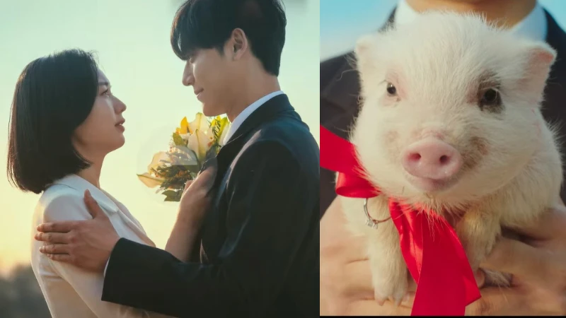 《壞媽媽》結局 強豪用小豬求婚美珠