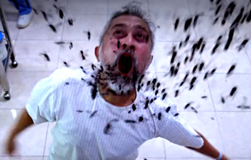 《血咒之術》特效細緻駭人 《血咒之術》特效細緻駭人