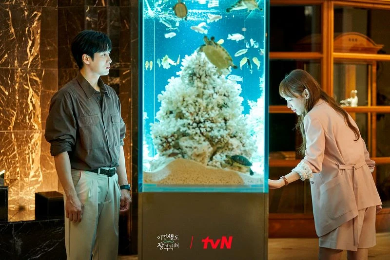 《今生也請多指教》安普賢 申惠善 《今生也請多指教》安普賢 申惠善