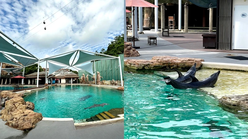 海豚園 Dolphin Island 海豚園 Dolphin Island
