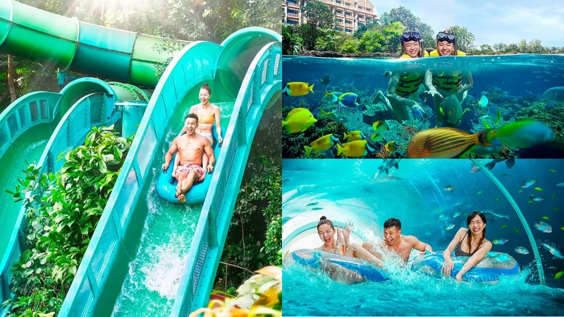 水上探險樂園Adventure Cove Waterpark 水上探險樂園Adventure Cove Waterpark