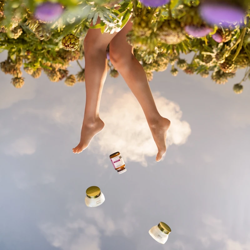 L'OCCITANE歐舒丹地中海菊薊勻體保養系列主視覺。