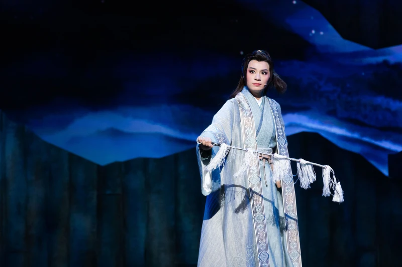 演員林芳儀 飾諸葛瞻 演員林芳儀 飾諸葛瞻