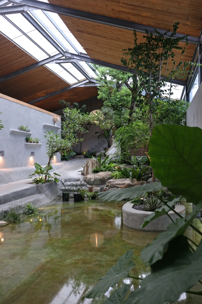 老樟樹成為佇立在空間裡的視覺重點。 老樟樹成為佇立在空間裡的視覺重點。