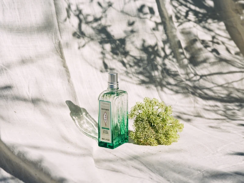 L’OCCITANE歐舒丹蕾絲花馬鞭草淡香水100ml，NT2,350