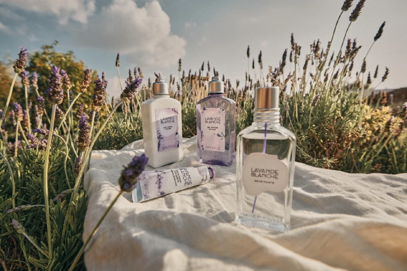 L'OCCITANE歐舒丹白薰衣草系列。