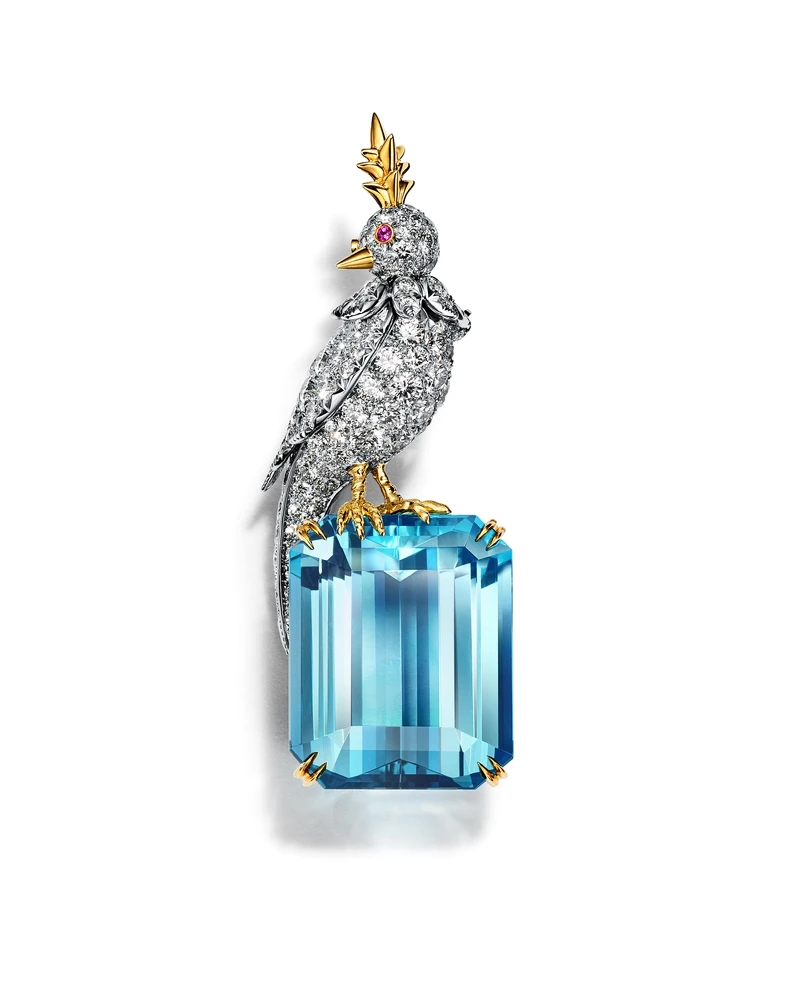 Schlumberger by Tiffany _ Co.石上鳥系列 - 鉑金與18K金鑲嵌總重逾49克拉海水藍寶主石胸針