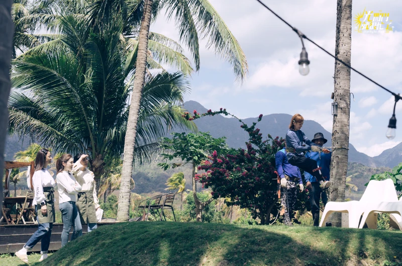 《光開門就很忙了》陳意涵帶客人爬椰子樹。