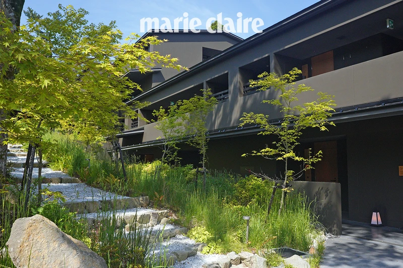 飯店中庭造景。