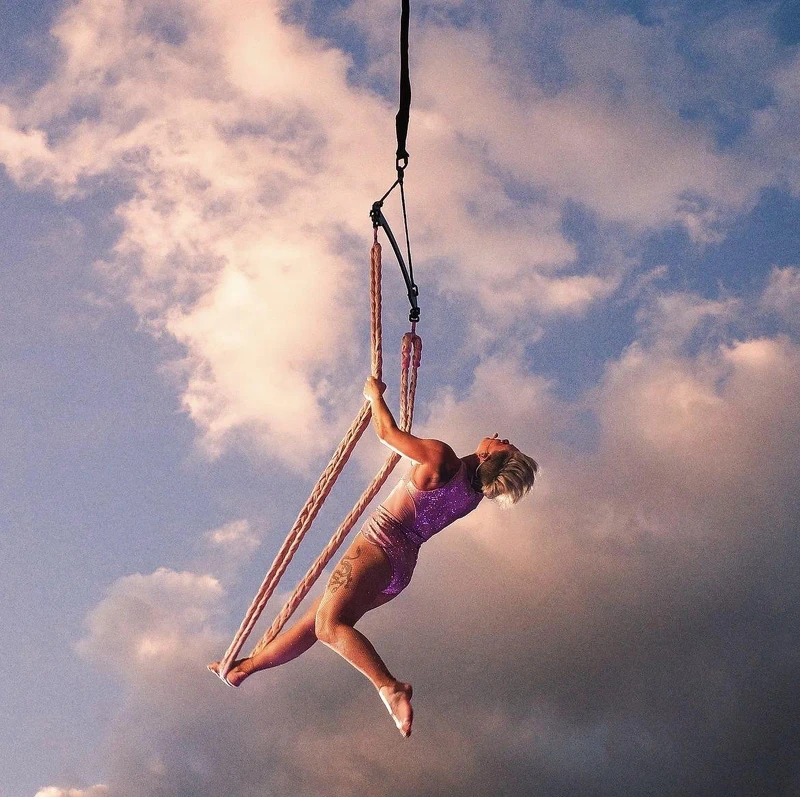 截取自P!nk IG：@pink