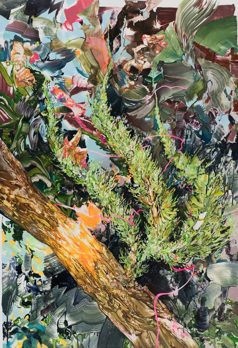 傅寧FU Ning,《龍柏後》Cypress Queen,圖片提供|傅寧 Photo credit|FU Ning 傅寧FU Ning,《龍柏後》Cypress Queen,圖片提供|傅寧 Photo credit|FU Ning