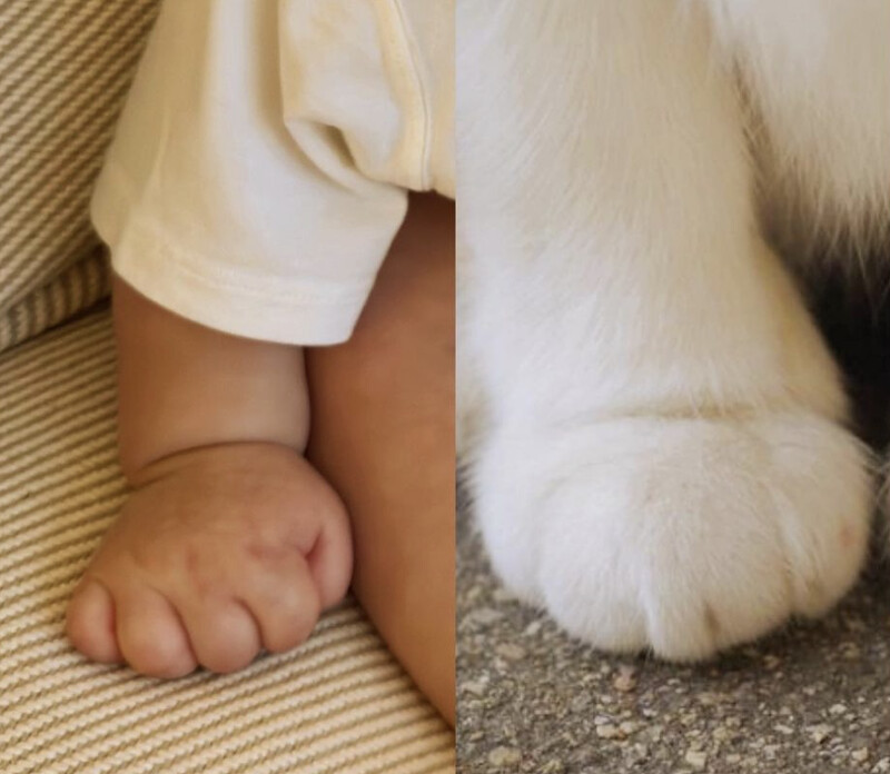 孫藝珍分享兒子小手手 孫藝珍分享兒子小手手