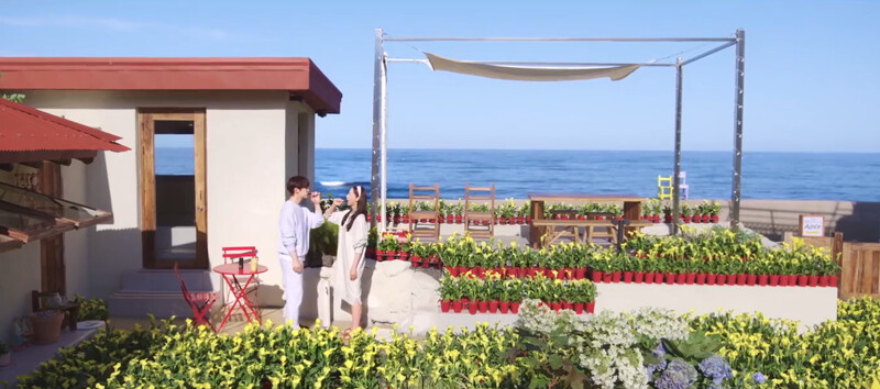 鏡頭中的黃色花田,全是出自本部長之手 鏡頭中的黃色花田,全是出自本部長之手