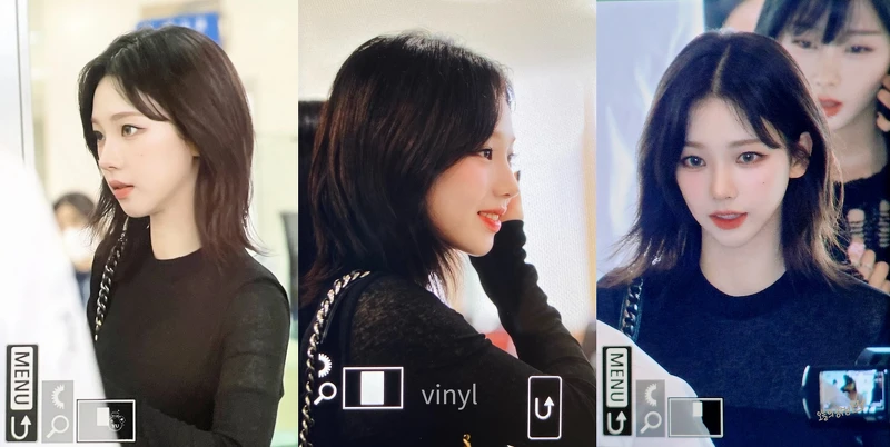 圖/Twitter 圖/Twitter