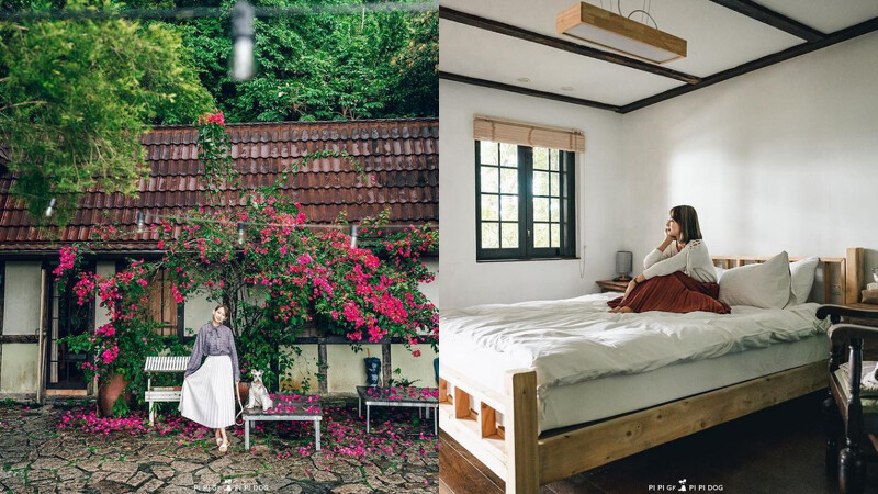 Photo/IG@pipigfpipidog.ajung 授權提供 Photo/IG@pipigfpipidog.ajung 授權提供