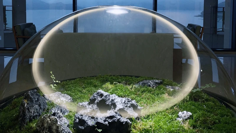 各樓層電梯出口前方設置「苔蘚生態球」