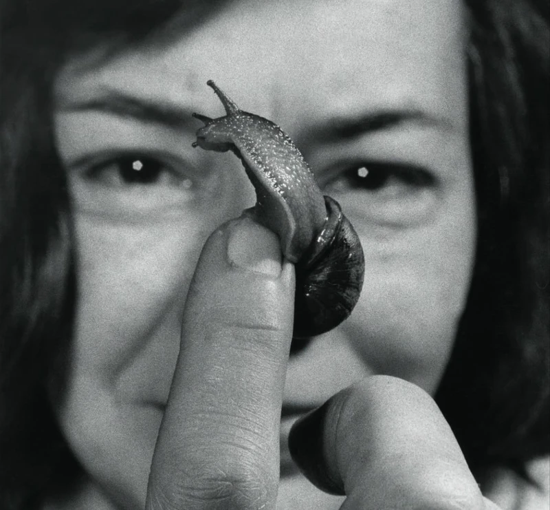 《尋愛小說家：海史密斯》派翠西亞．海史密斯酷愛雌雄同體的蝸牛