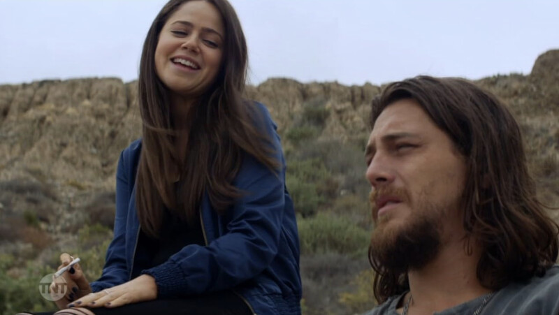 《野獸家族（Animal Kingdom）》。