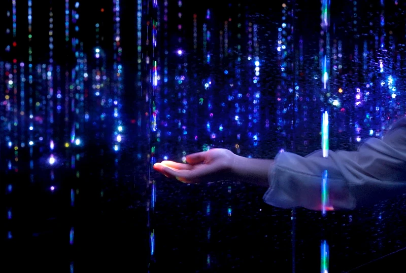 teamLab《生命是轉瞬即逝的光的結晶》© teamLab