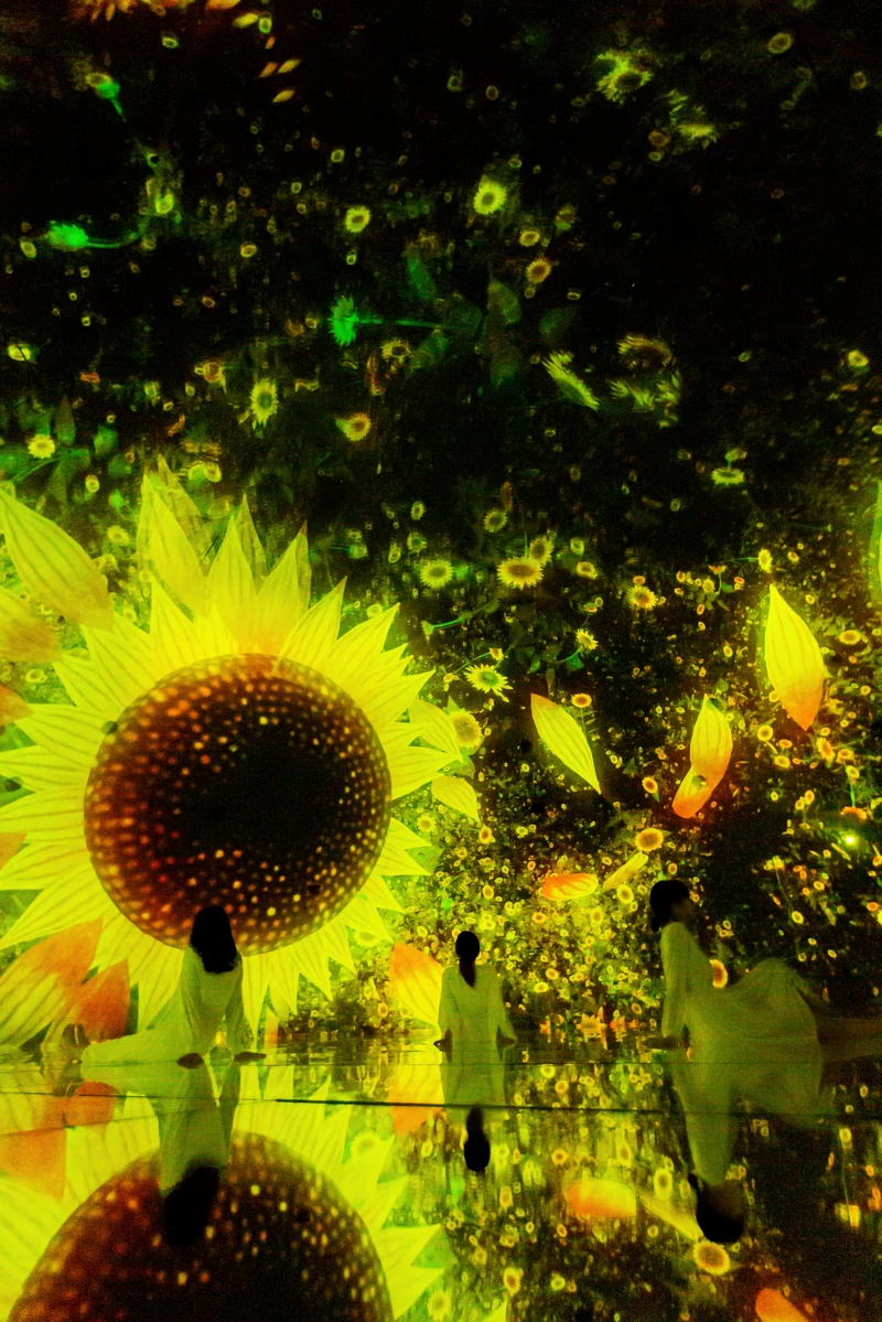 teamLab《漂浮於落花世界》Summer © teamLab