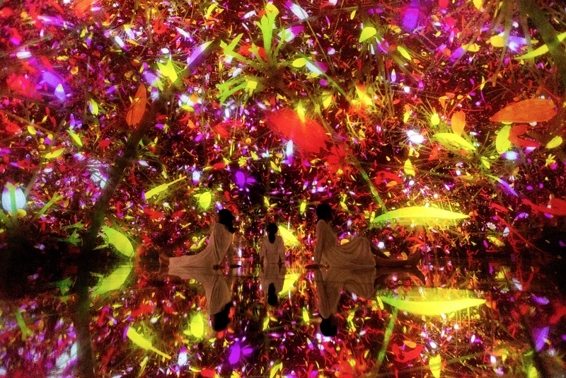 teamLab《漂浮於落花世界》Autumn © teamLab