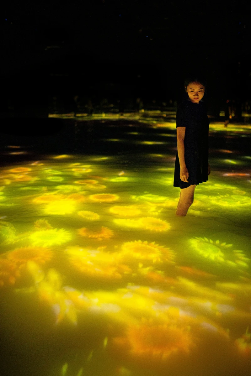 teamLab《錦鯉與人共舞所描繪之水面圖──無限》© teamLab