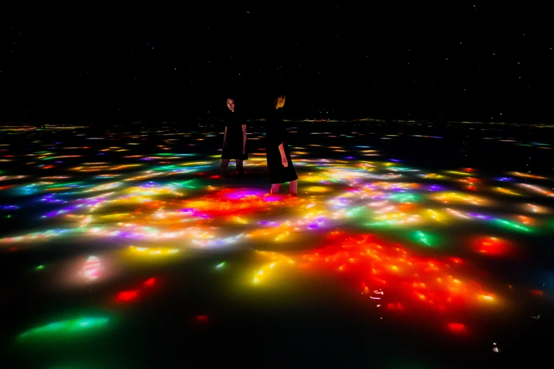 teamLab《錦鯉與人共舞所描繪之水面圖──無限》© teamLab