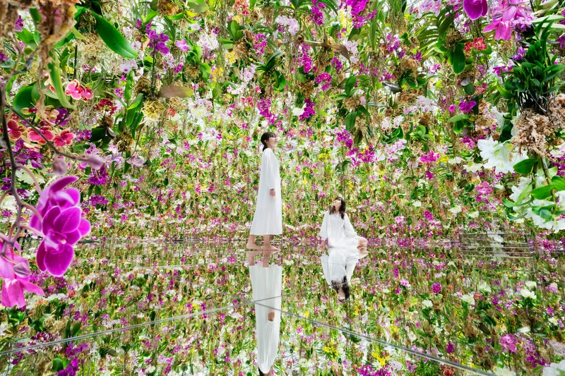 teamLab《漂浮的花園──花朵與我同根同源，花園與我合為一體》© teamLab
