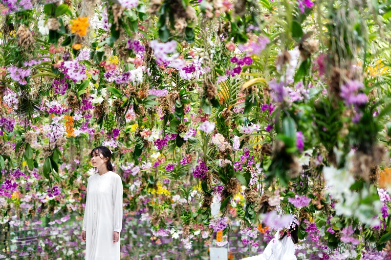 teamLab《漂浮的花園──花朵與我同根同源，花園與我合為一體》© teamLab