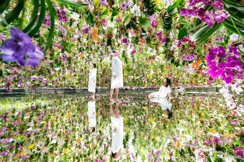 teamLab《漂浮的花園──花朵與我同根同源，花園與我合為一體》© teamLab