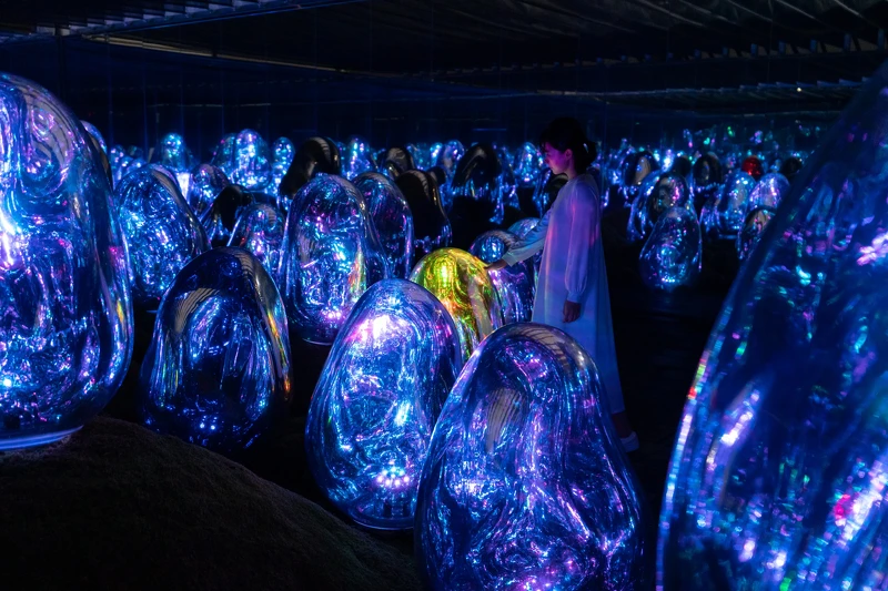 teamLab《苔蘚庭園中呼應的小宇宙群 ── 固化光色, 日出與日落》© teamLab