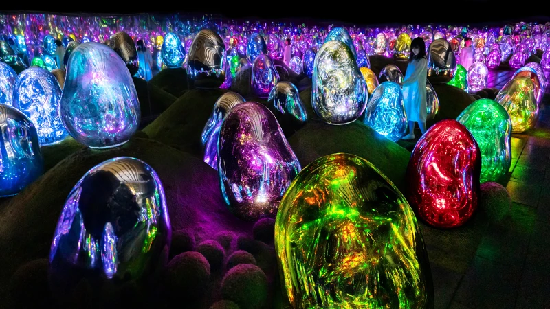 teamLab《苔蘚庭園中呼應的小宇宙群 ── 固化光色, 日出與日落》© teamLab