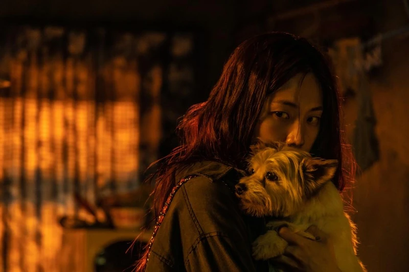 《假面女郎》春愛想逃家被復榮發現 《假面女郎》春愛想逃家被復榮發現